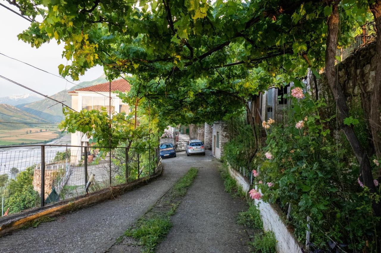 Panoramic View House Country house Tepelene
